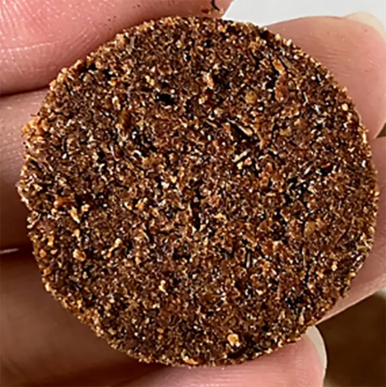 ทีมวิจัย มก.พัฒนาขนมสุนัข โดยใช้โปรตีนจากจิ้งหรีด