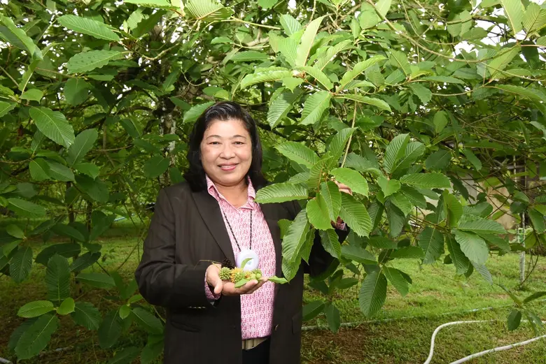 วช. ร่วมกับ จังหวัดชุมพร ผลักดันพืชกระท่อมเป็นพืชเศรษฐกิจตัวใหม่ พร้อมจับมือ 6 หน่วยงานภาครัฐและเอกชน เดินหน้ายกระดับการผลิตและแปรรูปอย่างครบวงจร