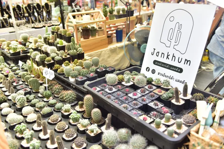 จุดนัดพบแห่งใหม่สำหรับสายกรีน และคนรักงานคราฟต์  ในงาน "MEGA GREEN & CRAFT WEEKEND MARKET" ระหว่างวันที่ 9-11, 23-25, 30 กันยายน และ 1-2 ตุลาคม  2565