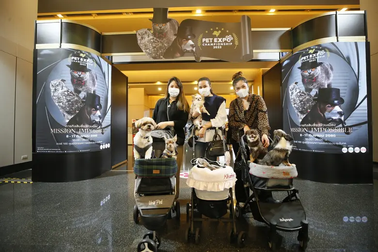 เริ่มต้นขึ้นแล้วสำหรับงาน PET EXPO CHAMPI...