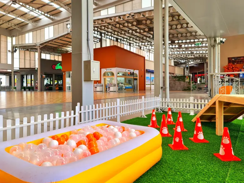 เดอะไนน์ เซ็นเตอร์ ติวานนท์ ชวนคุณและสัตว์เลี้ยงคู่ใจ มาฟินบนพื้นที่แห่งความสนุก ที่โซน PET PLAYS