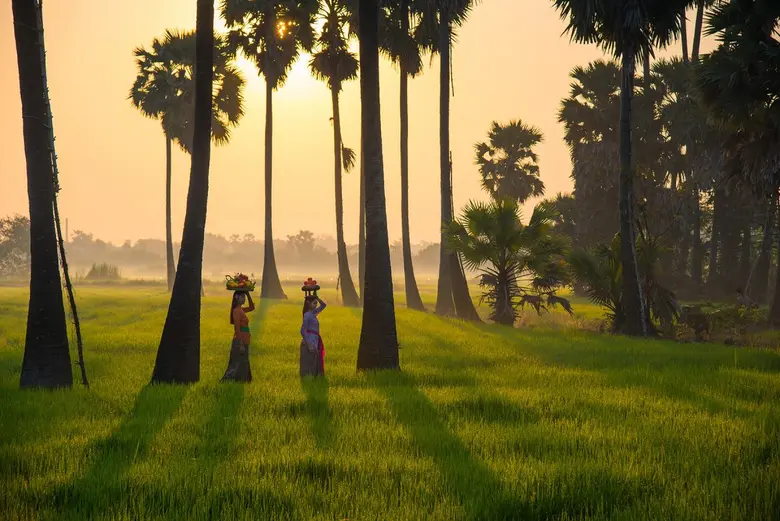 เบสท์ เวสเทิร์น โฮเทล แอนด์ รีสอร์ท ขอเชิ...