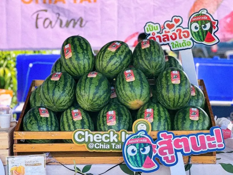 เจียไต๋ฟาร์มขนคาราวานแตงโมซอนญ่า พลัส เติมพลังนักวิ่งใน 3 เส้นทางมาราธอนภูเขานานาชาติ