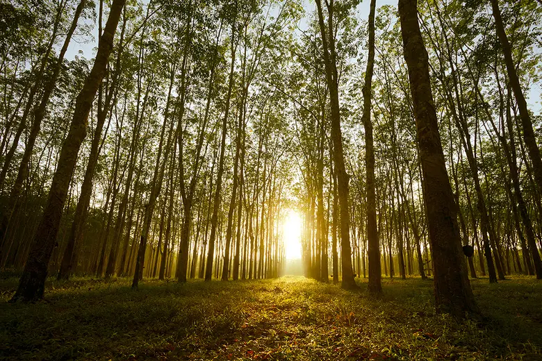 STA เตรียมออกหุ้นกู้และหุ้นกู้ดิจิทัล อายุ 4 ปี อันดับเครดิต A เสนอขายประชาชนทั่วไปเป็นครั้งแรก ผ่านธนาคารกสิกรไทย และผ่านแอปฯ 'เป๋าตัง' เดือนพฤศจิกายนนี้