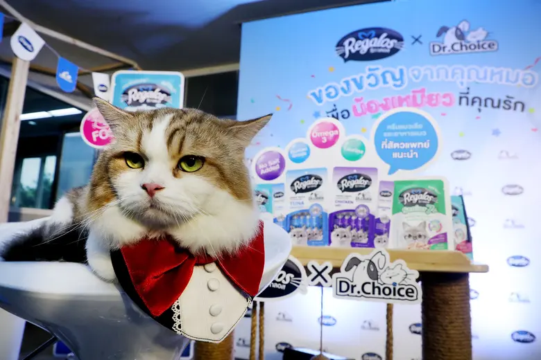 รพ.สัตว์ทองหล่อ ส่งแบรนด์ Dr.Choice ผนึก กลุ่มบริษัทพัทยาฟู้ด (PFG) แบรนด์ Regalos เปิดตัวแคมเปญ "ของขวัญจากคุณหมอ" เผยต้นปี 66 มีเซอร์ไพรซ์