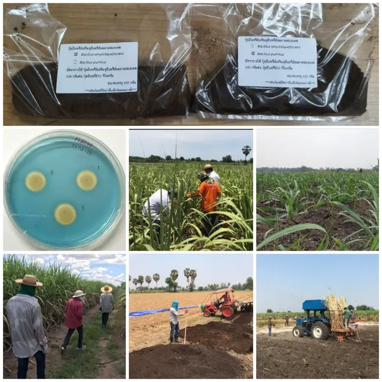 วว. โชว์ผลงานขับเคลื่อน BCG  Model  ร่วมประชาสัมพันธ์การจัดแสดงนิทรรศการ APEC 2022  สัญจร "APEC พร้อม  ไทยพร้อม"