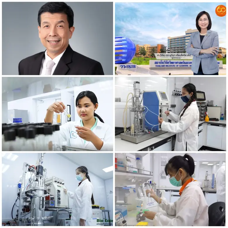 ศ. (วิจัย) ดร.ชุติมา เอี่ยมโชติชวลิต ผู้ว...