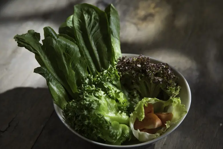 โปรเด็ด "มา 4 จ่าย 3" อิ่มอร่อยแบบสุขภาพดีกับ บุฟเฟ่ต์สลัดบาร์ ห้องอาหารนิมมาน บาร์ แอนด์ กริล โรงแรมแคนทารี ฮิลส์ เชียงใหม่