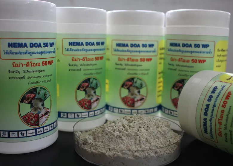 นายระพีภัทร์ จันทรศรีวงศ์ อธิบดีกรมวิชากา...