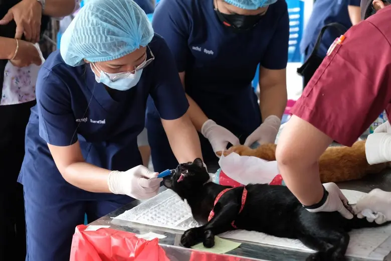 "ไลอ้อน" จับมือพันธมิตร "สมาคมวีแชร์-เทศบาลนครแหลมฉบัง" จัดกิจกรรมส่งเสริมสุขภาพให้กับประชาชนพื้นที่แหลมฉบังและสวนหลวง