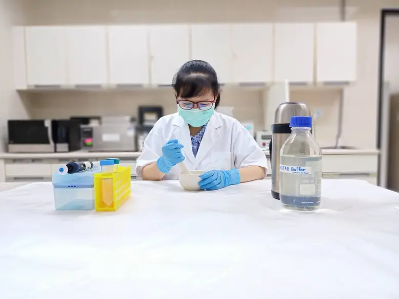 นักวิจัยกรมวิชาการเกษตร เฉียบค้นพบเครื่องหมายโมเลกุลใหม่ ร่นระยะเวลาปรับปรุงพันธุ์มันสำปะหลัง ต้านทานโรค