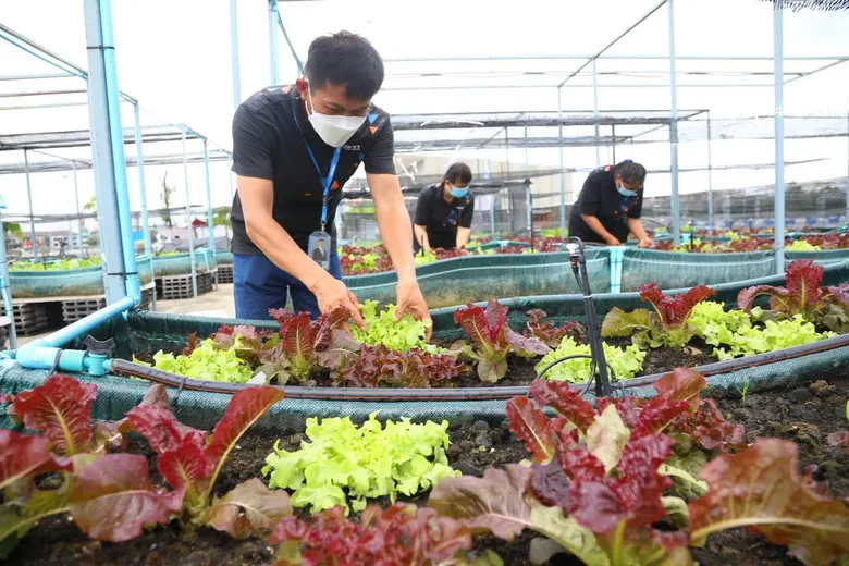 อิมแพ็ค เอ็กซิบิชั่น เร่งขับเคลื่อนธุรกิจตามแนวSDGsเต็มรูปแบบ ชี้เทรนด์จัดงานยั่งยืนมาแรง เปิดตัวแพ็คเกจ Impact Sustainable Meeting ลดผลกระทบเชิงลบต่อสิ่งแวดล้อม