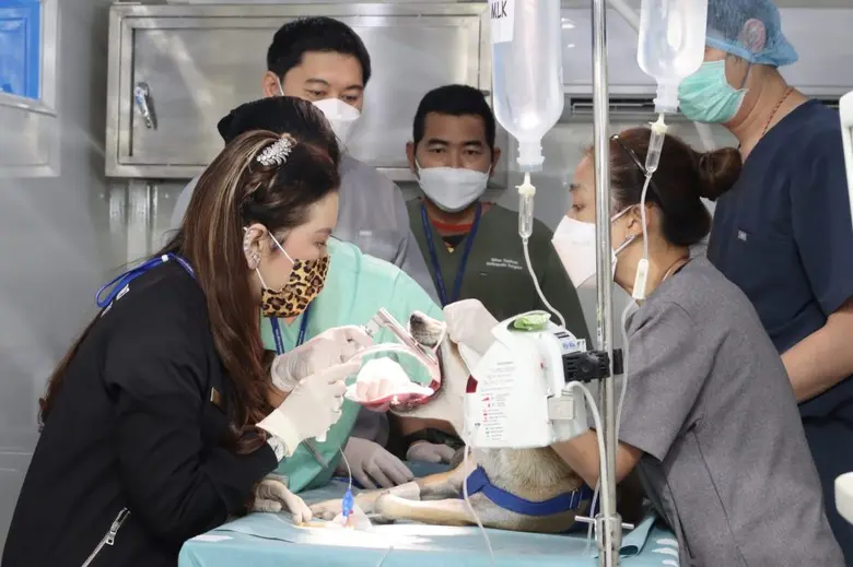 ศาสตราจารย์ ดร.สมเด็จเจ้าฟ้าฯ กรมพระศรีสว...