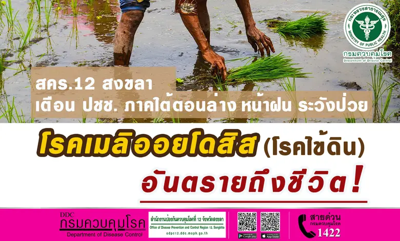 สำนักงานป้องกันควบคุมโรคที่ 12 จังหวัดสงข...