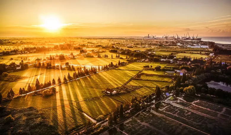คุณภาพอากาศที่ดีมีผลอย่างมากต่อผลผลิตและค...