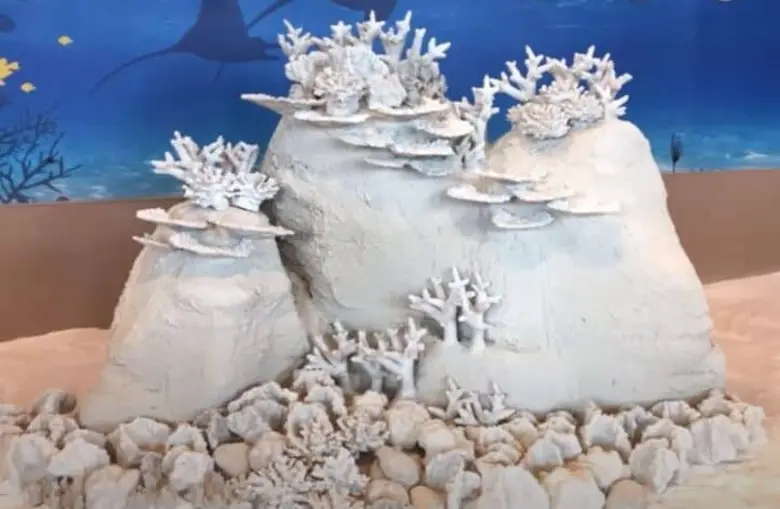 นวัตปะการัง 3 มิติ ประติมากรรมฟื้นนิเวศทะเลไทย