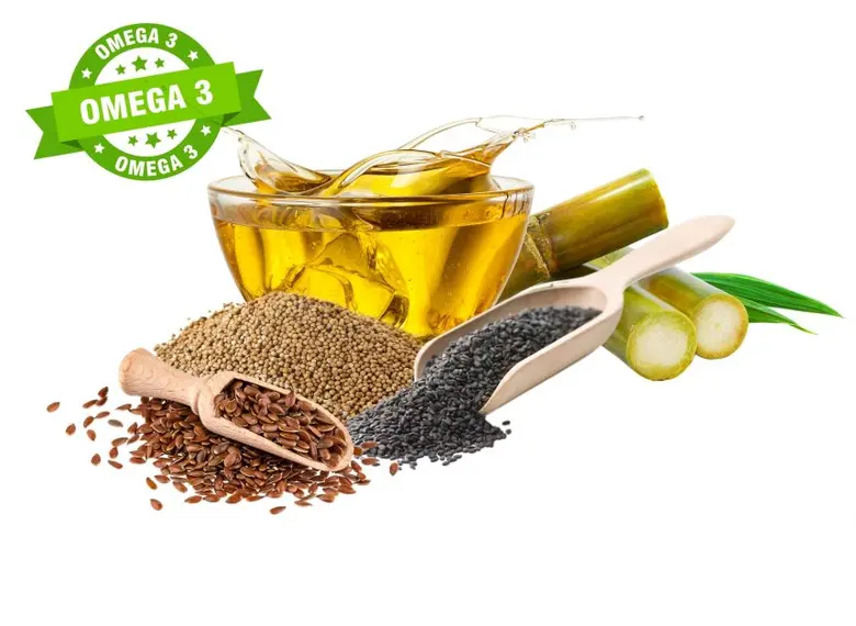 หุ่นต้องเป๊ะ ผิวต้องปัง เสริมสุขภาพ ด้วยพลังน้ำมันที่มีแหล่งโอเมก้า 3 จากพืช