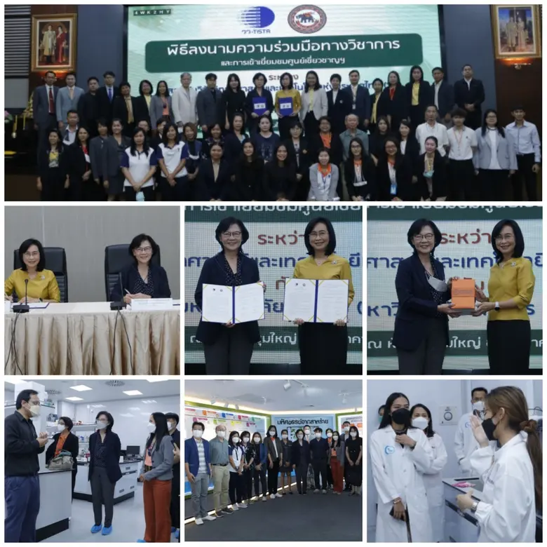 ศ. (วิจัย) ดร. ชุติมา เอี่ยมโชติชวลิต ผู้...