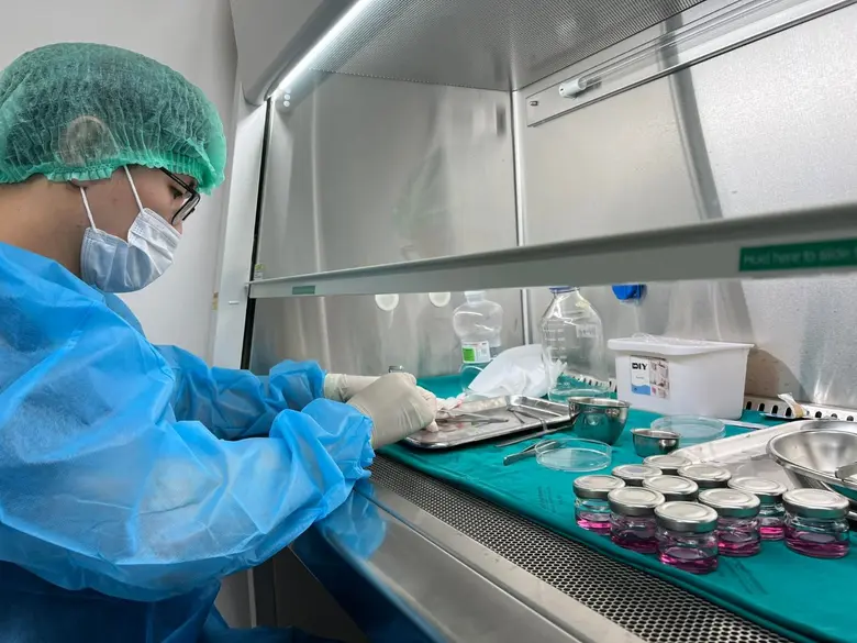 ศูนย์การแพทย์มหาวิทยาลัยวลัยลักษณ์ จ.นครศ...