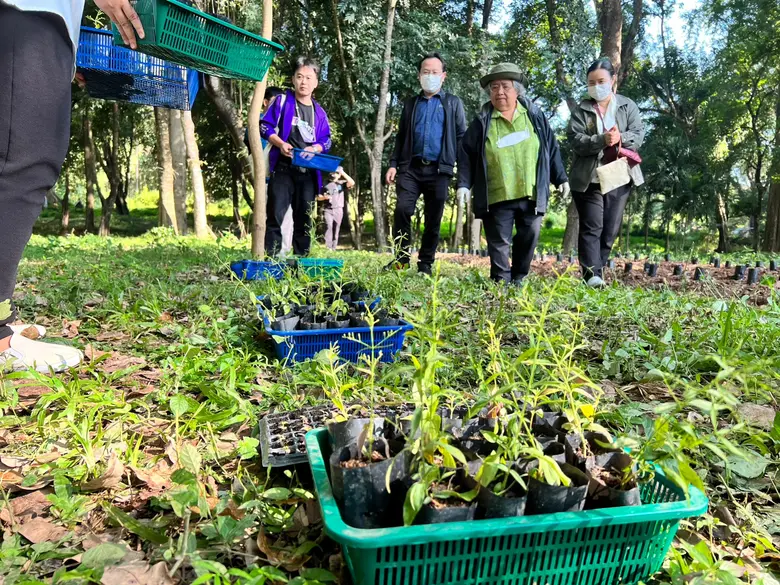 "ภูกามยาวโมเดล" นำร่องเป็นพื้นที่ปลูกฟ้าทลายโจร สร้างรายได้เพื่อความเข้มแข็งของชุมชน อย่างยั่งยืน