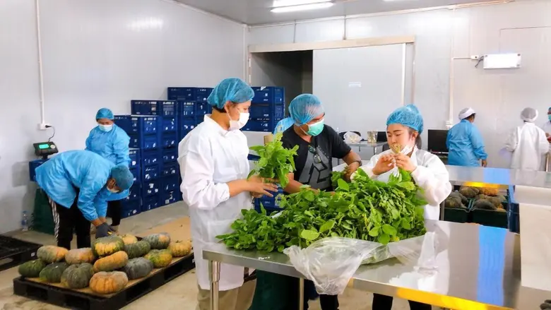 "บิ๊กซี" สนับสนุนช่วยเหลือสินค้าชาวเกษตรก...