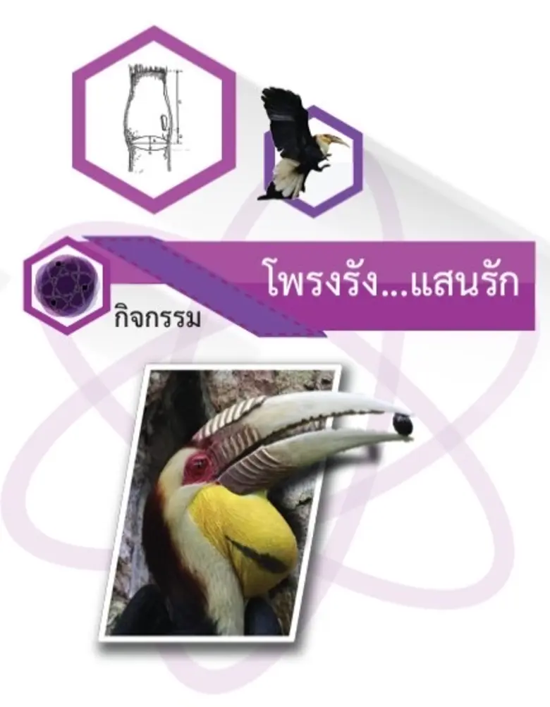 ม.มหิดล ปลูกฝังเยาวชนอนุรักษ์ทรัพยากรธรรมชาติและผืนป่า ผ่านการเรียนรู้เสริมทักษะแห่งศตวรรษที่ 21