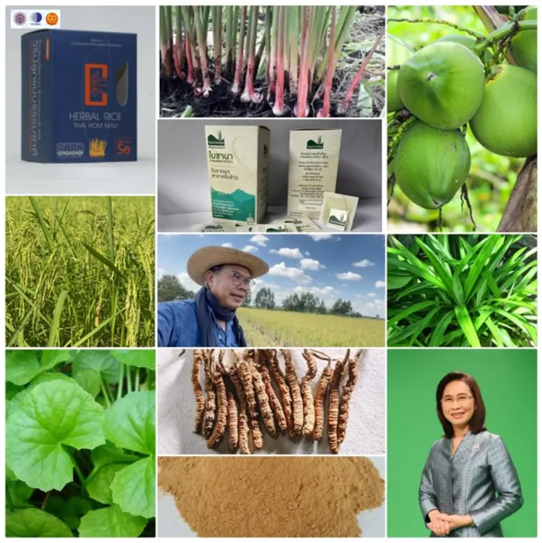 กระทรวงการอุดมศึกษา วิทยาศาสตร์ วิจัยและน...