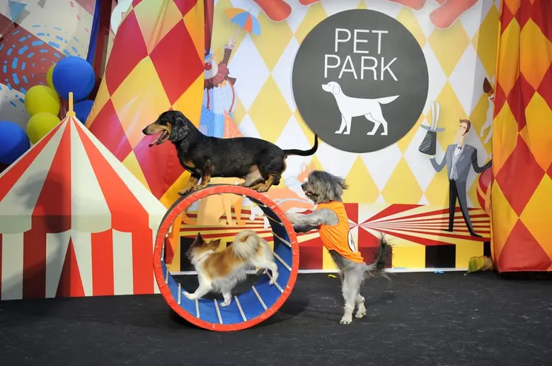 คริสตัล ดีไซน์ เซ็นเตอร์ (ซีดีซี) เลียบทา...