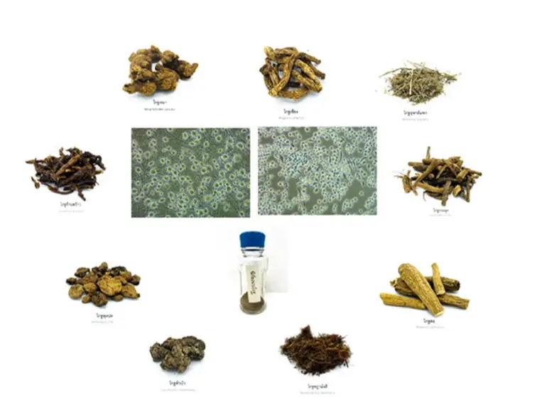 ม.มหิดล ค้นพบสารสกัดจากสมุนไพรไทย "นวโกฐ" มีฤทธิ์ต้านโรคอัลไซเมอร์ในหลอดทดลอง