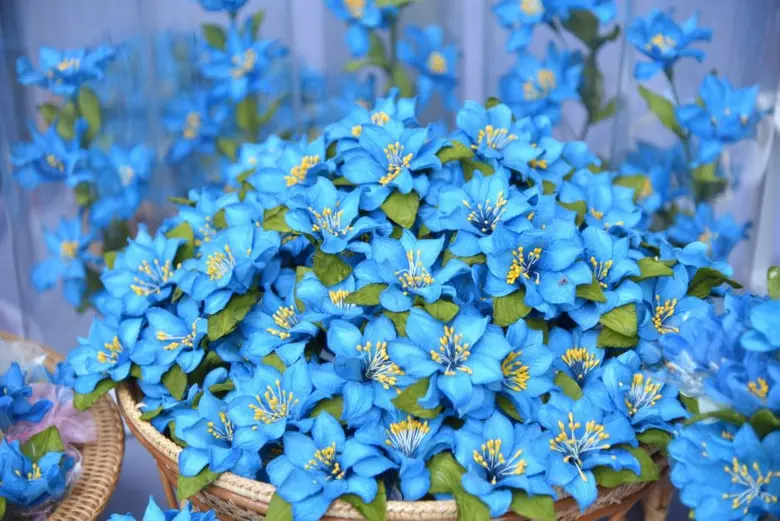 23-24 พฤศจิกายน นี้ ชวนอุดหนุน "ดอกแก้วกัลยา"  รายได้ช่วยเหลือคนพิการทั่วประเทศ ที่ศูนย์การค้าแพลทินัม