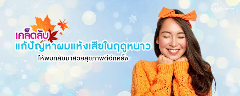 ปัญหาผมแห้งเสียที่เกิดขึ้นในฤดูหนาว เป็นป...