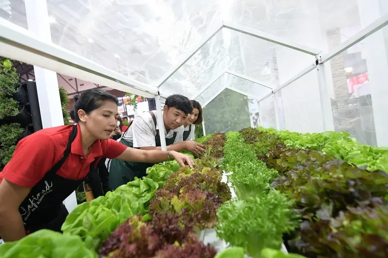 ธนวัฒน์ ว่องไวตระการ "Young Smart Farmer" เกษตรกรรุ่นใหม่ กับการพลิกแนวคิด เพิ่มมูลค่าผลผลิต ตอบเทรนด์ผู้บริโภค