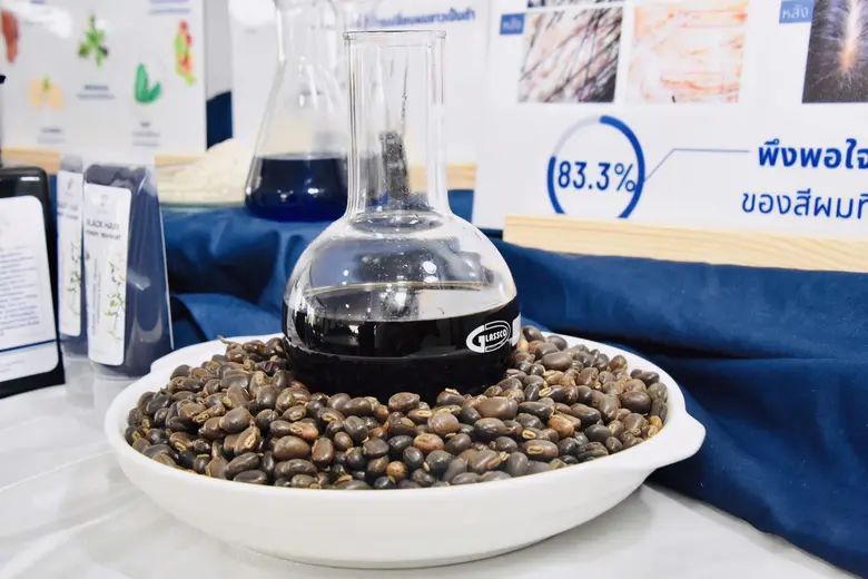 เมื่อวันที่ 26 พ.ย. 2565 สำนักงานการวิจัย...