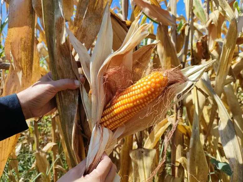 นายฉันทานนท์ วรรณเขจร เลขาธิการสำนักงานเศ...