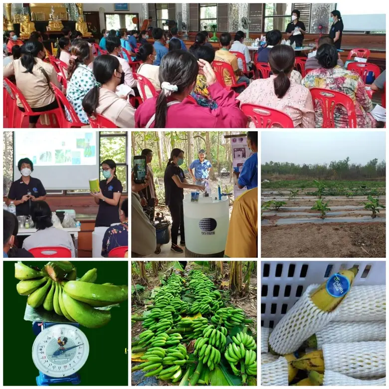 กระทรวงการอุดมศึกษา วิทยาศาสตร์ วิจัยและน...