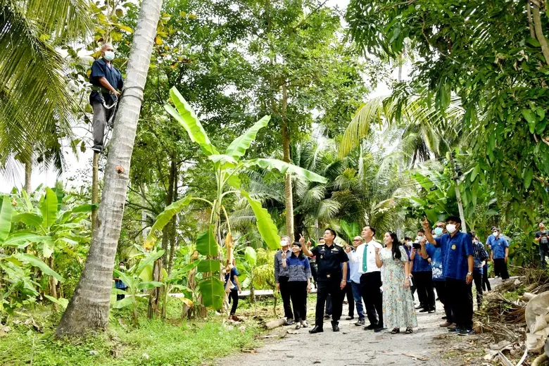 มนัญญา สั่งกรมวิชาการเกษตร เดินหน้าขับเคลื่อนมาตรการ Monkey Free Plus นำร่องมอบหนังสือรับรองแปลงผลิตมะพร้าวปลอดภัยและไม่ใช้ลิง จ.ราชบุรี และ สมุทรสาคร