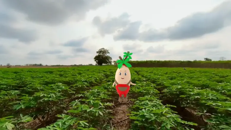 นับตั้งแต่มีการก่อตั้งกลุ่มบริษัทอายิโนะโ...