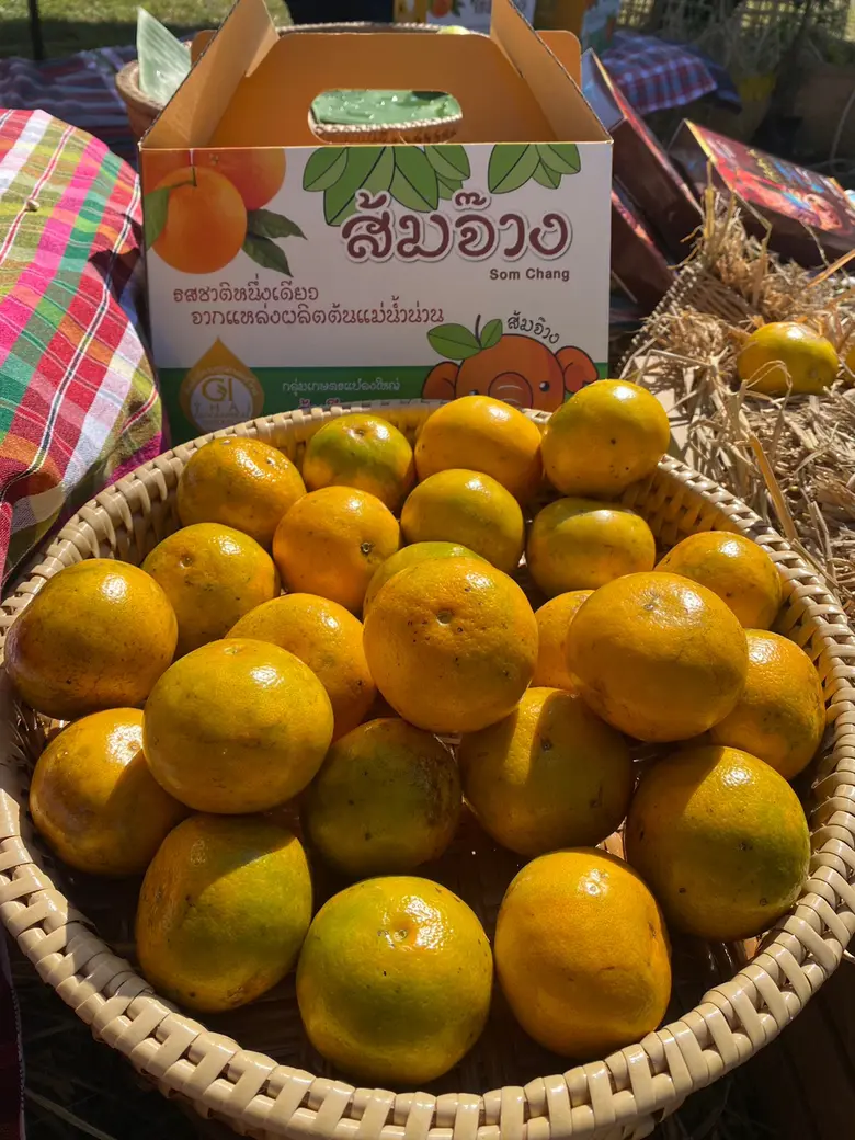 วช. เชิญชวนร่วมงาน "ส้มสีทอง" อำเภอทุ่งช้าง ประจำปี 2565 ส่งเสริมและผลักดันงานวิจัยเพิ่มมูลค่า สร้างอัตลักษณ์ส้มน่านสีทอง ส่งเสริมเอกลักษณ์ชุมชนและยกระดับการท่องเที่ยวเชิงเกษตร