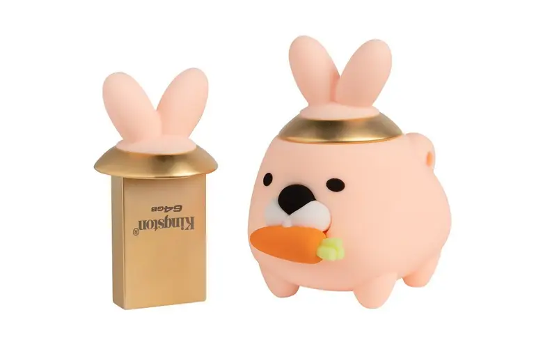 Kingston Technology ผู้นำด้านผลิตภัณฑ์หน่...