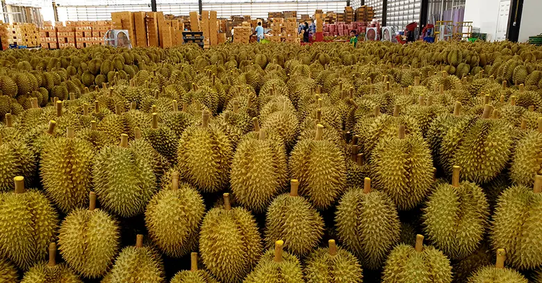 นางสาวมนัญญา ไทยเศรษฐ์ รัฐมนตรีช่วยว่าการ...