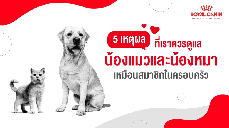 เมื่อโลกของเราเปลี่ยนแปลงไป ความไม่แน่นอน...