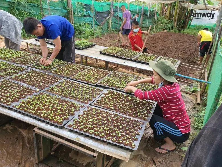 มือกว่า 10,000 คู่ของเด็กน้อย ร่วมสานโครงการฟาร์มสุขภาพของหนู แหล่งโภชนาการสำคัญเพื่อสุขภาพดีอย่างยั่งยืน