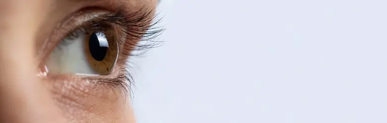 จักษุแพทย์แนะฉลองปีใหม่อย่างปลอดภัย ระวัง "เบาหวานขึ้นจอตา" โรคใกล้ตัวผู้ป่วยเบาหวาน หากไม่อยากสูญเสียการมองเห็น