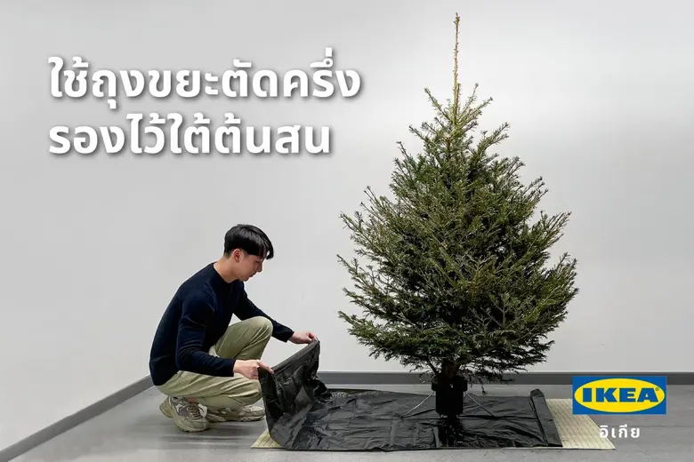 เปลี่ยนต้นสนสดจากอิเกียให้เป็นปุ๋ย ฉลองส่งท้ายปีแบบยั่งยืน