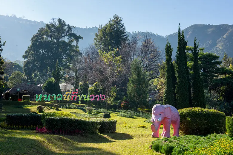 กรมวิชาการเกษตรร่วมส่งความสุขให้คนไทย เปิดศูนย์ท่องเที่ยวเชิงอนุรักษ์เกษตรรับเทศกาลปีใหม่ 2566