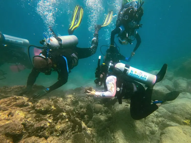 ซีพี ออลล์ ร่วมกับชมรมดำน้ำเพื่อการอนุรักษ์ ( PhaNgan Sea Guardian ) และ Kong Gang Diving สร้างนักดำน้ำหัวใจอนุรักษ์ท้องทะเลไทย