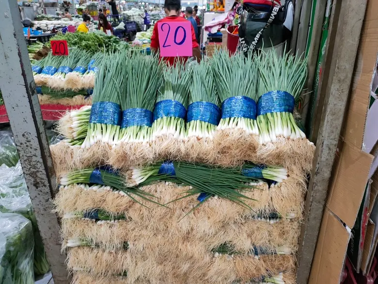 มนัญญา แจ้งผลตรวจสารตกค้างสีฟ้าต้นหอม ย้ำล้างทำความสะอาดก่อนนำไปบริโภค สั่งกรมวิชาการเกษตรแนะเกษตรกรใช้สารตามคำแนะนำ