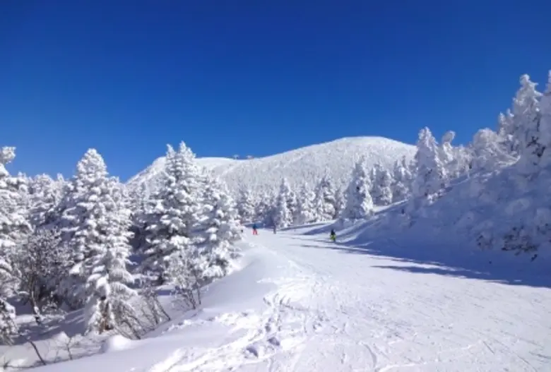 ภูมิภาคโทโฮคุเป็นภูมิภาคที่อยู่ทางเหนือขอ...