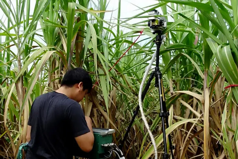 นายระพีภัทร์ จันทรศรีวงศ์ อธิบดีกรมวิชากา...