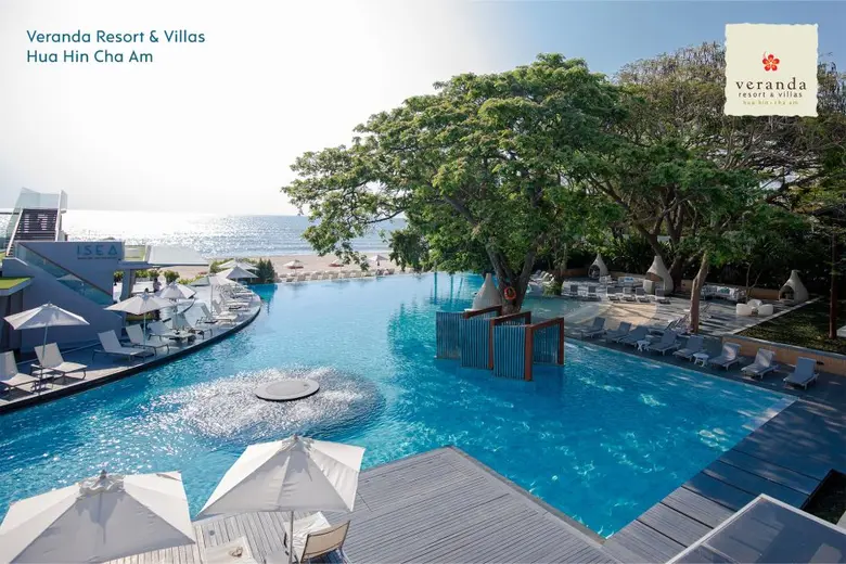 'วีรันดา' ยิ้มรับคาดรายได้ไตรมาส 4/65 คัมแบ็กสดใส มั่นใจผลงานปีนี้เติบโตอย่างมีศักยภาพตลาดนักท่องเที่ยวจีนคึกคัก หนุนอุตสาหกรรมฟื้นตัวโดดเด่น